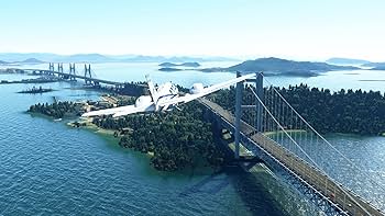 Amazon | Microsoft Flight Simulator : プレミアムデラックス